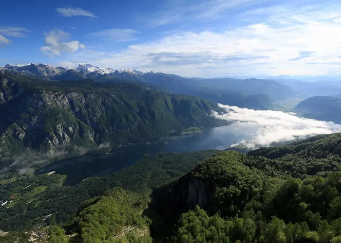 Bohinj, Metka - Vacation House Pri Metki