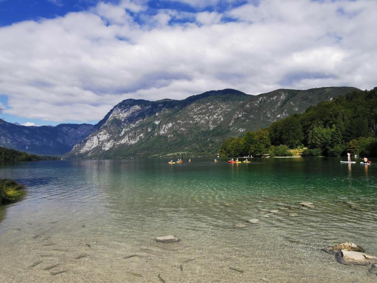 Holiday home Bohinj, Metka - Pri Metki